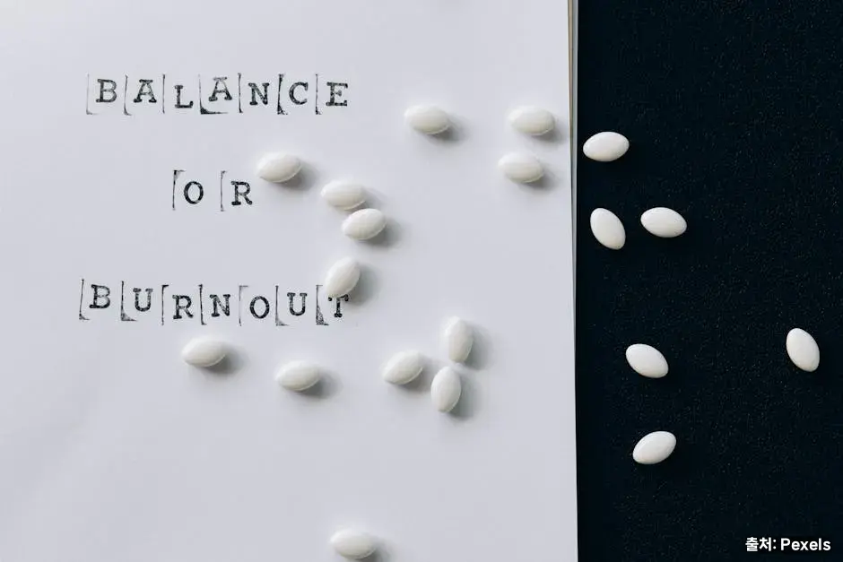 유산균과 장내 균형 관련 이미지