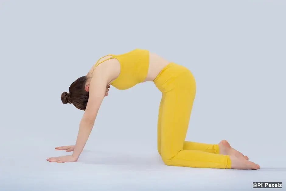 5) 슈퍼맨 – 척추 기립근 강화 관련 이미지