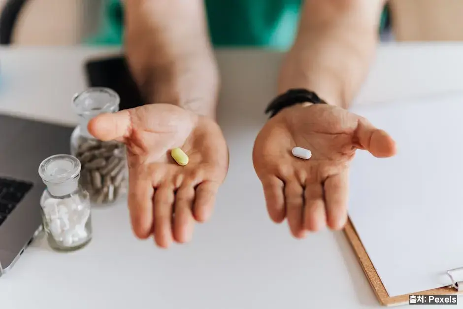 항히스타민제 선택 기준 관련 이미지