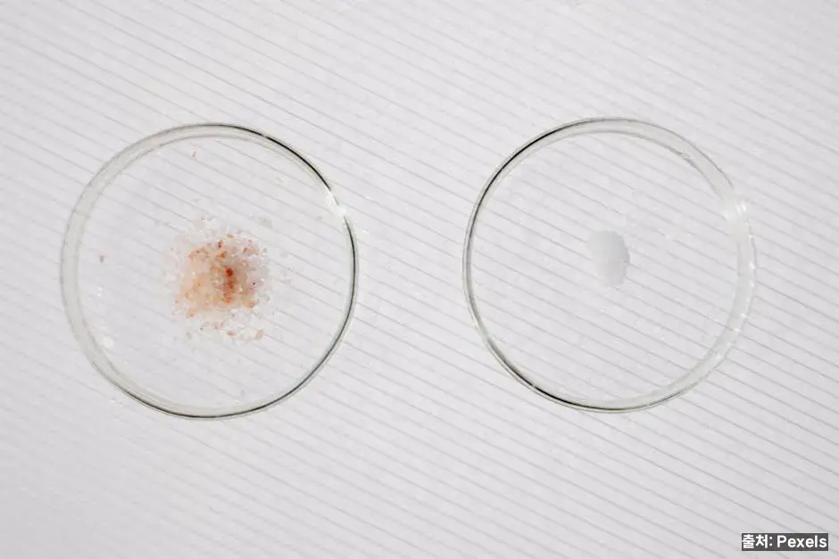 철분제 종류 비교 관련 이미지