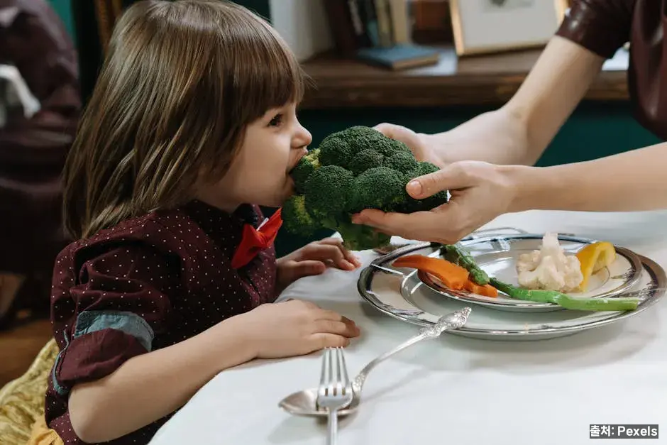 채소 싫어하는 아이 해결책 관련 이미지