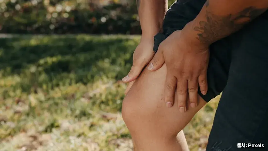 일상 생활 속 무릎 관리 관련 이미지