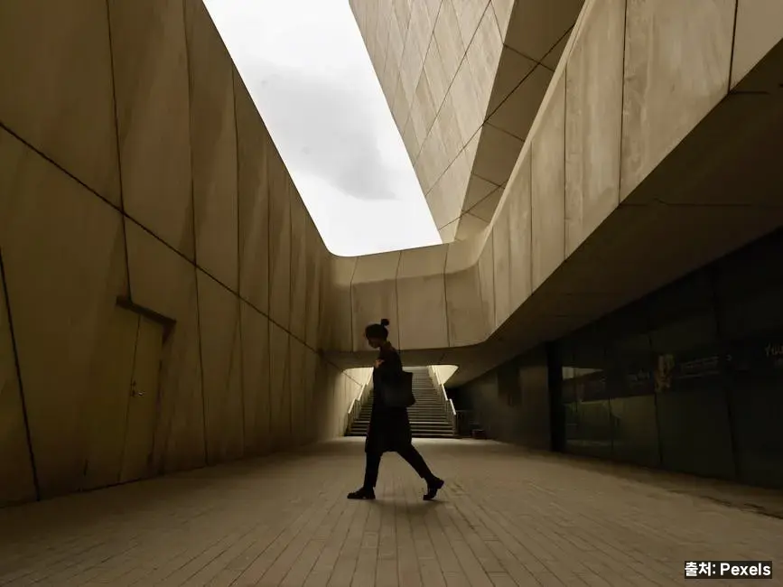 하루 적정량과 견과 3종 황금 비율 관련 이미지