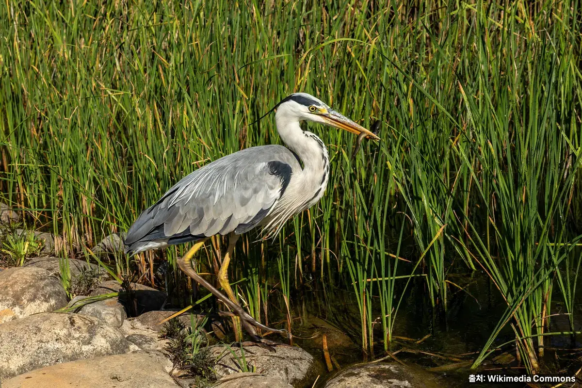 부산시민공원 연못 풍경