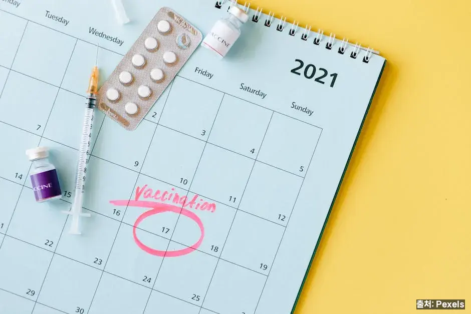 예방접종과 영유아 건강검진 일정 관련 이미지