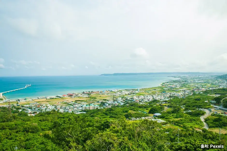 조리 시 주의사항 관련 이미지