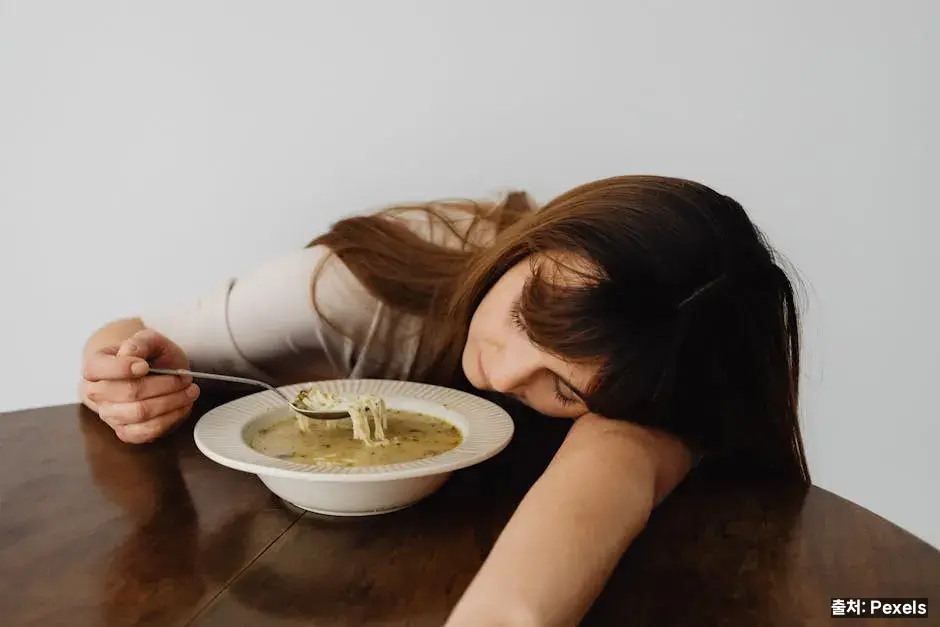 춘곤증 피로 완화 음식 체크리스트 관련 이미지