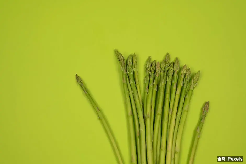 봄나물 공통 조리·섭취 팁 관련 이미지