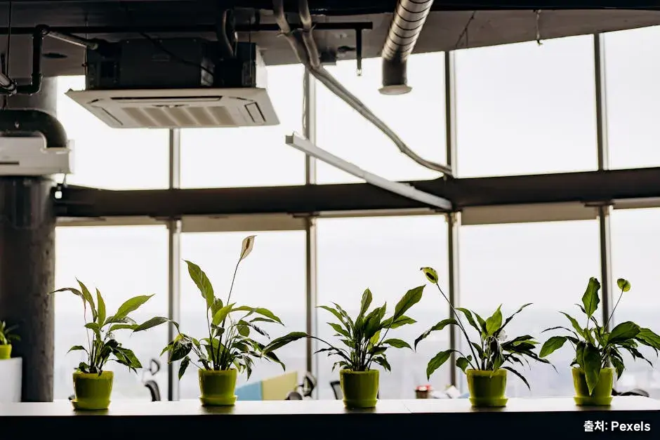 실내 공기 관리 핵심 관련 이미지