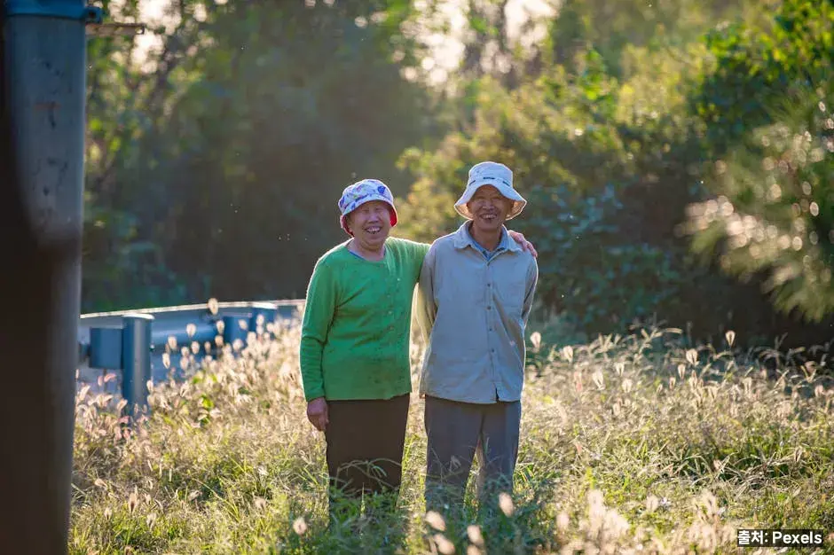 기초연금과 다른 연금 관계 관련 이미지