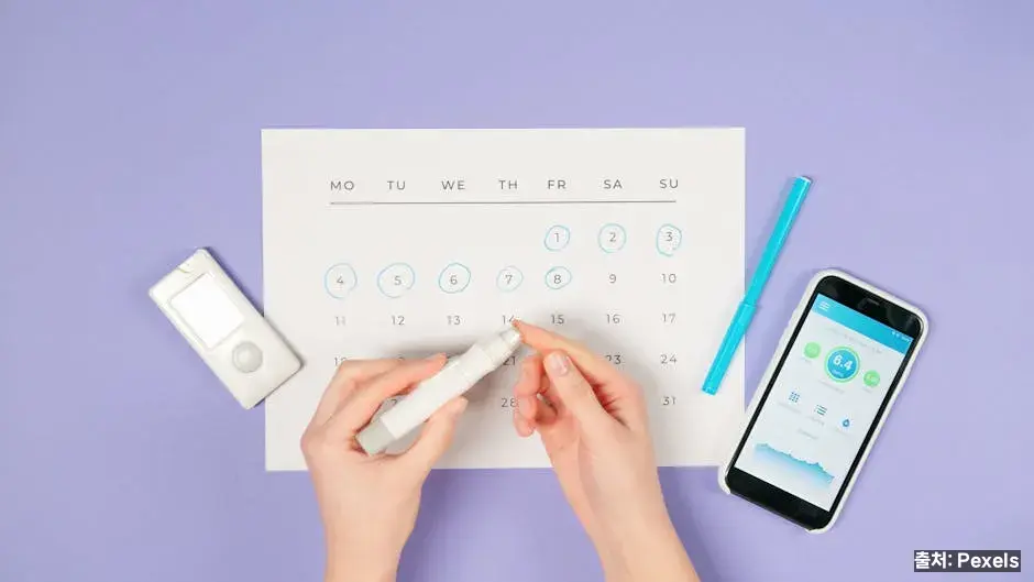 주간 자유수영 루틴 플랜 예시 관련 이미지