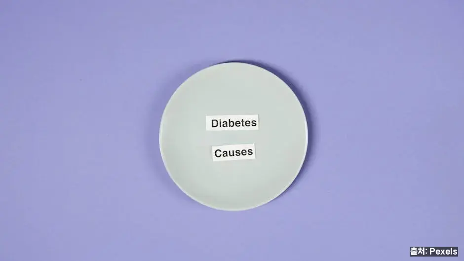 다이어트·혈당 관점 관련 이미지