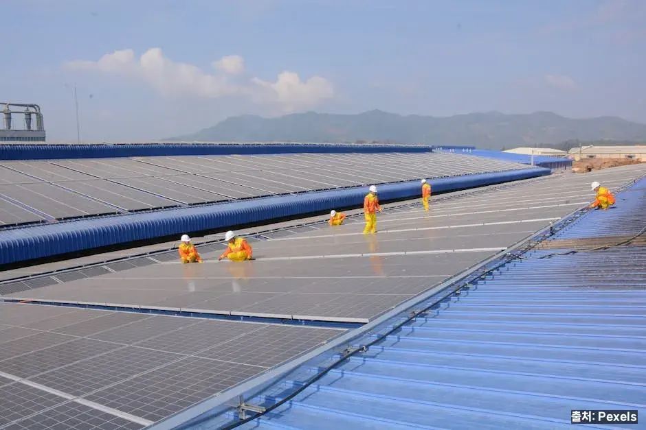 하루 적정량과 활용 관련 이미지