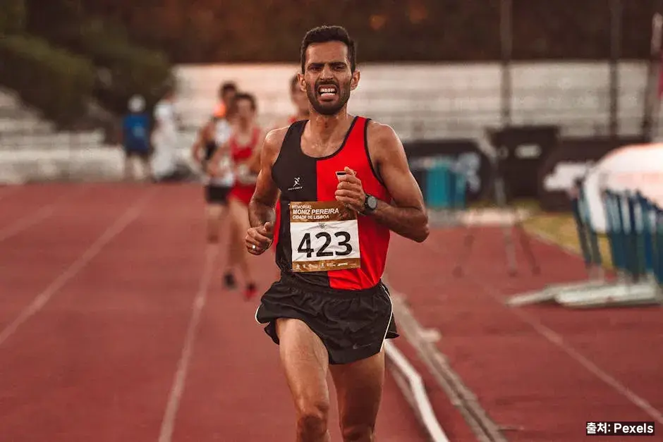 러닝 초보 추천 어플 비교 관련 이미지