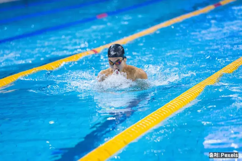 수영 초보자를 위한 주간 루틴 예시 관련 이미지