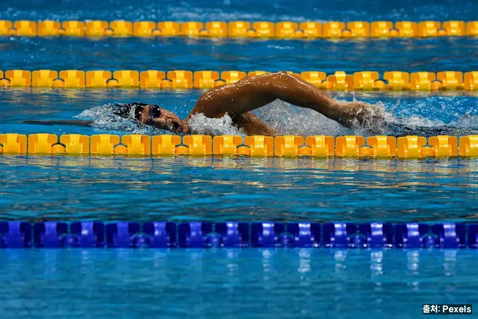 자유수영 시간 30분 — 왕초보 실전 루틴 예시 관련 이미지