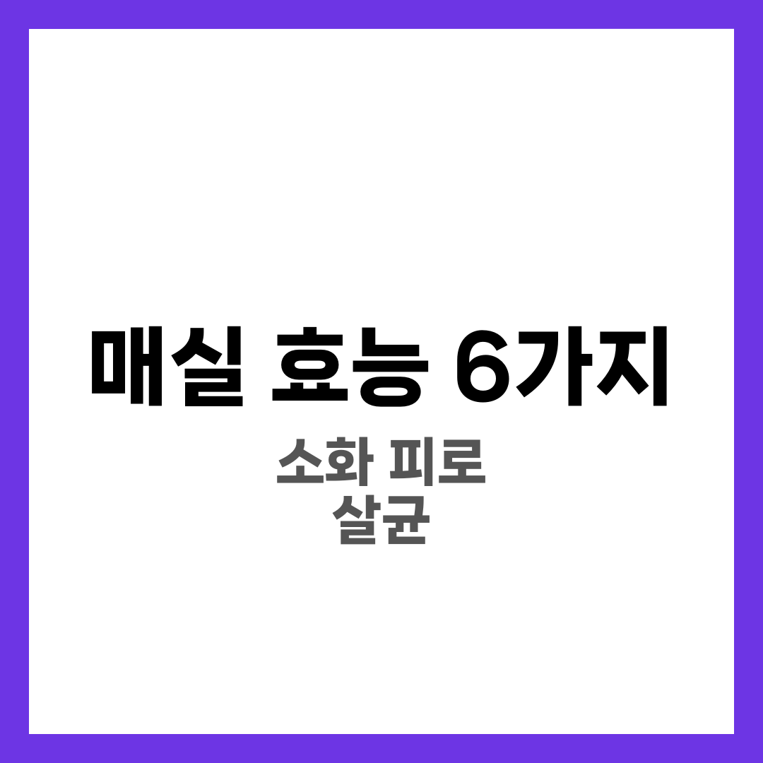 매실 효능 6가지, 소화·피로·매실청과 다른 각도 1