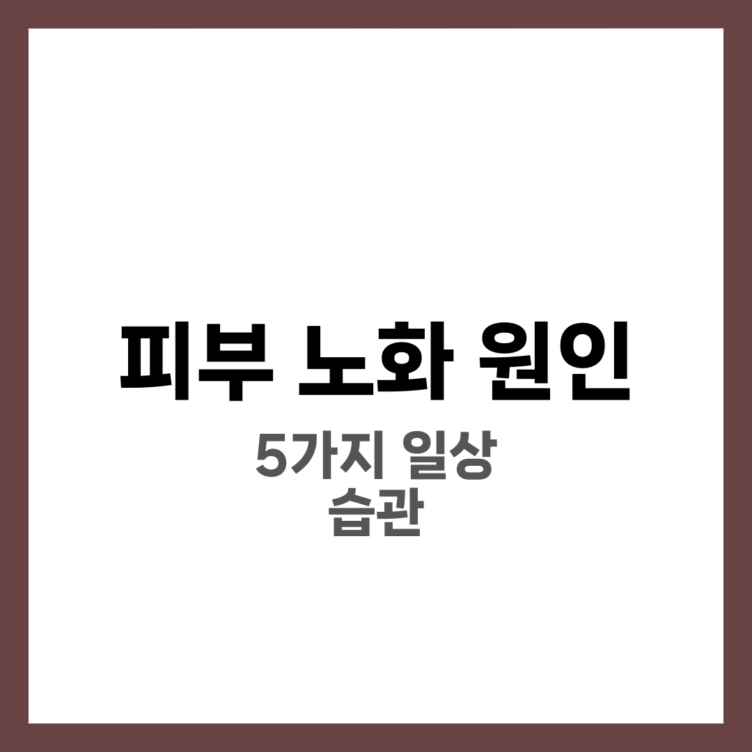피부 노화 원인과 일상에서 늦추는 습관 5가지 5