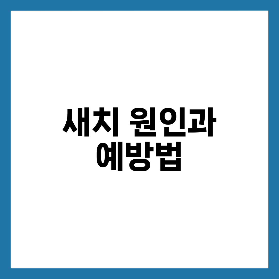 새치 원인과 예방법, 30대부터 늘어나는 흰머리 멈추는 영양·두피 루틴 설명하는 썸네일 이미지