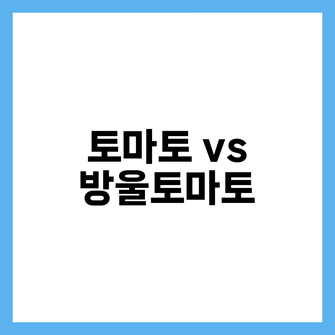 토마토 vs 방울토마토, 영양·리코펜·다이어트 완벽 비교 설명하는 썸네일 이미지