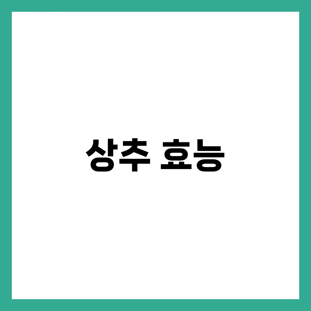상추 효능 10가지와 하루 적정량, 수면·다이어트·혈관 완벽 가이드 3