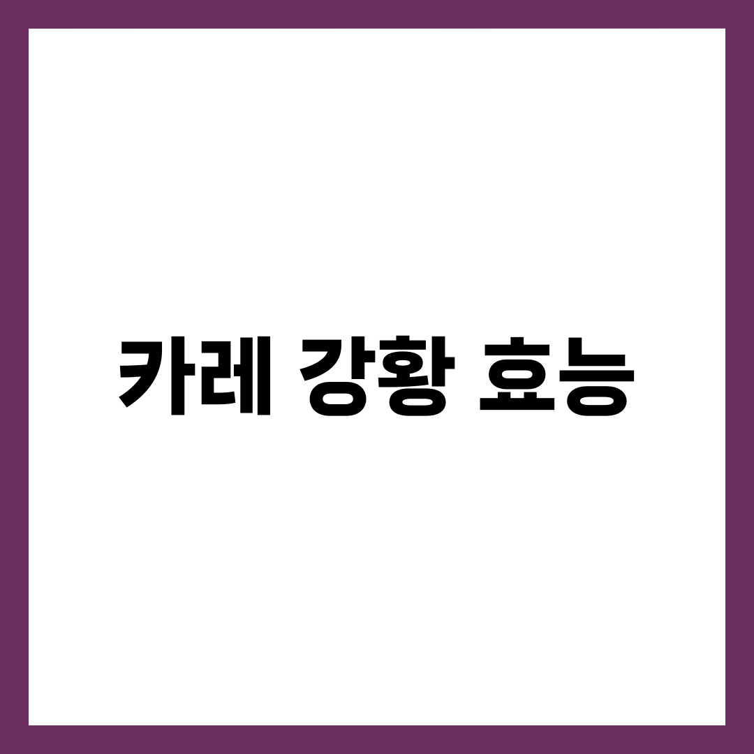 카레 속 강황의 건강 효과와 실제 효능 1