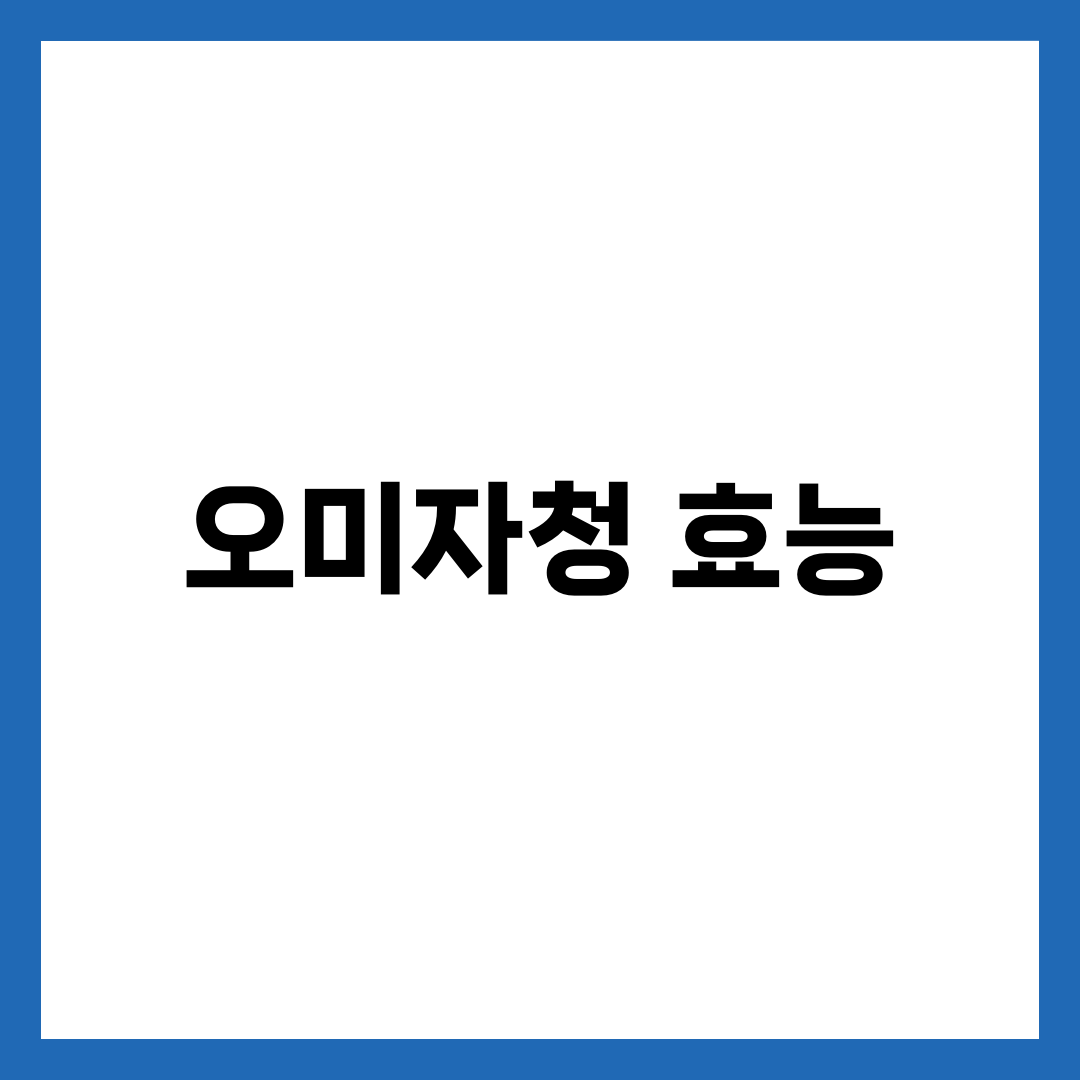 오미자청 효능 7가지: 면역력부터 혈액순환까지 4