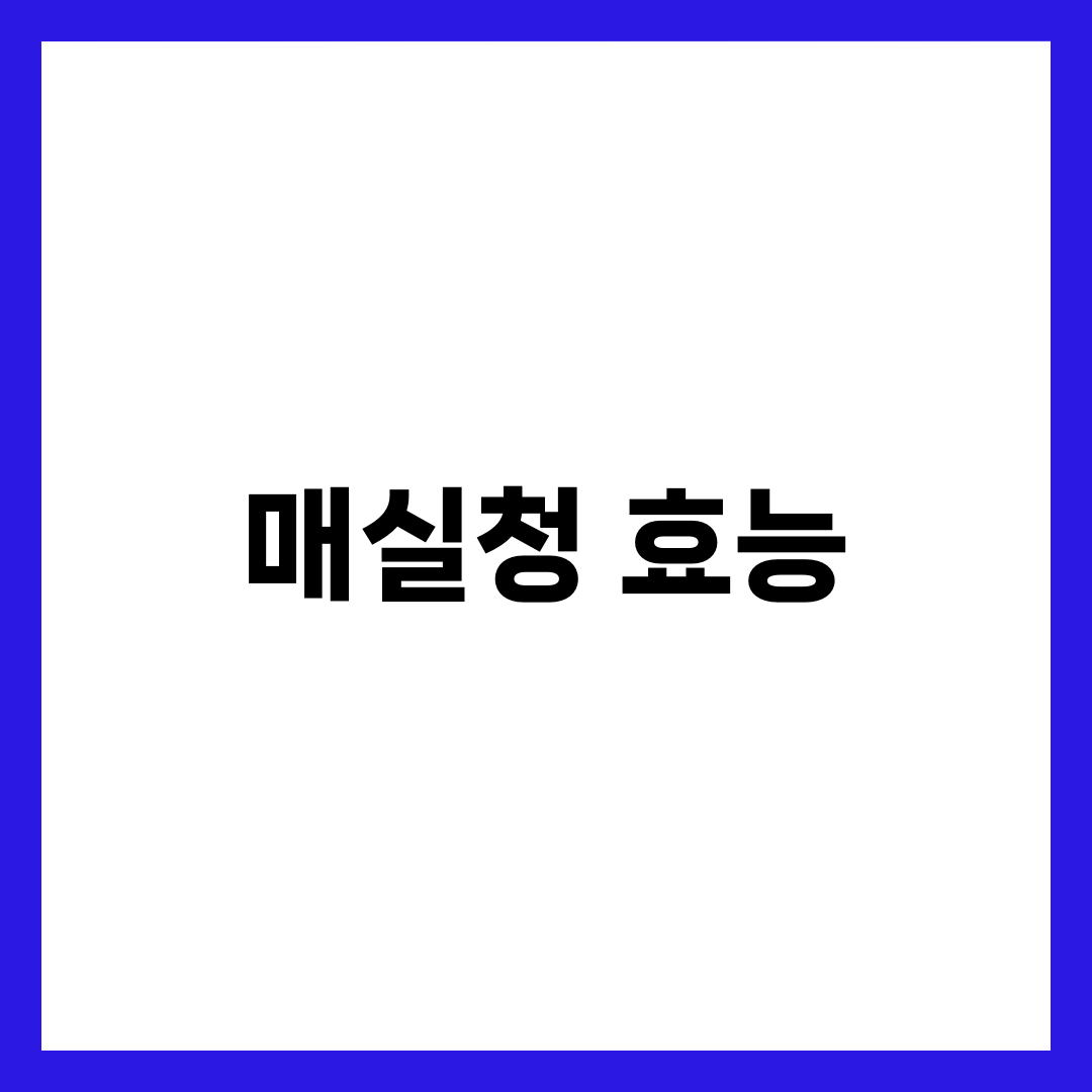 매실청 효능 완벽 가이드: 건강부터 다이어트까지 7