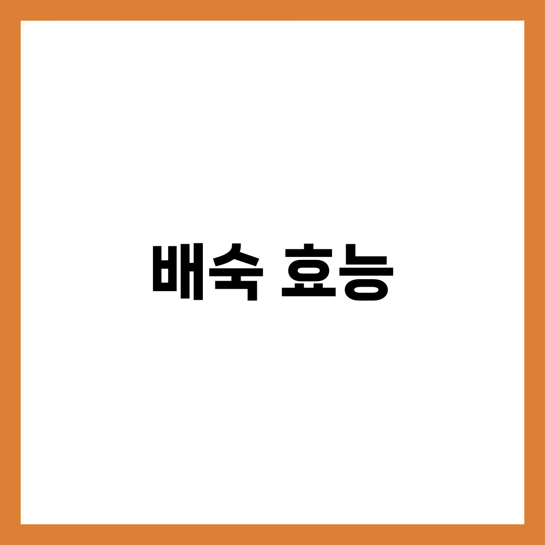 배숙 한 그릇의 힘, 기침·감기 예방 방법 2