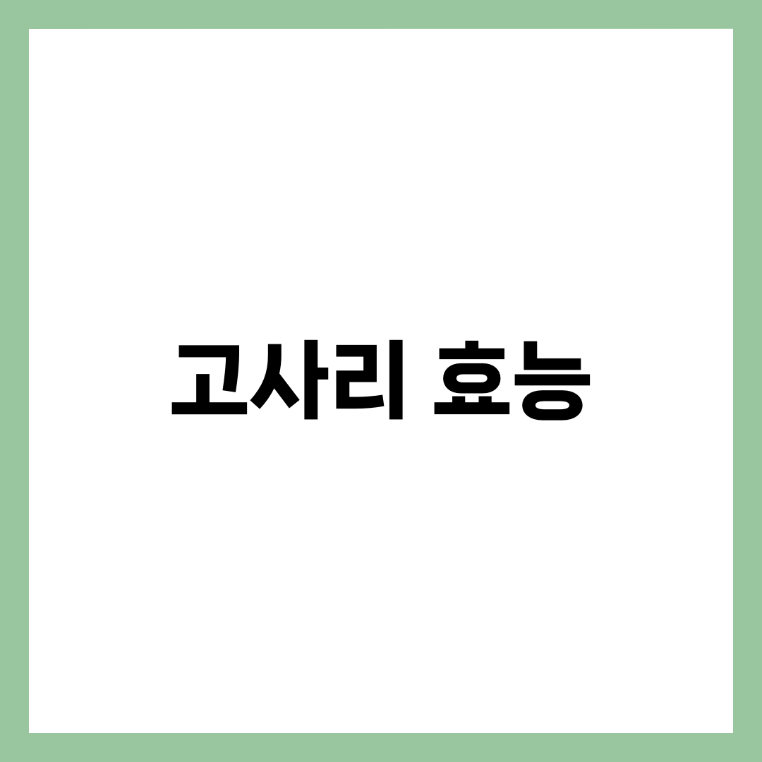 다이어트에 좋은 고사리 효능 5가지, 살 빼는 꿀팁까지 2