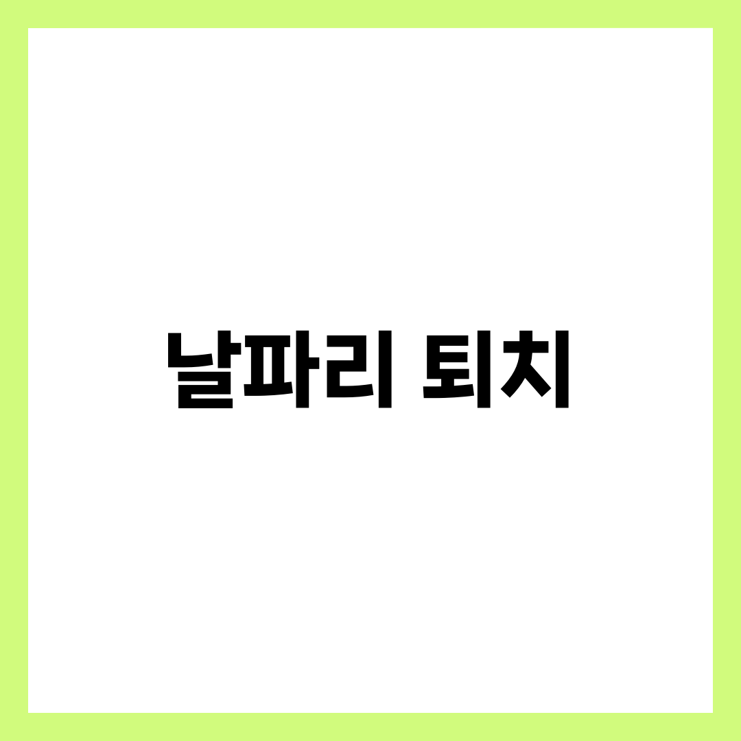 집에서 바로 적용하는 날파리 퇴치 방법 총정리 1