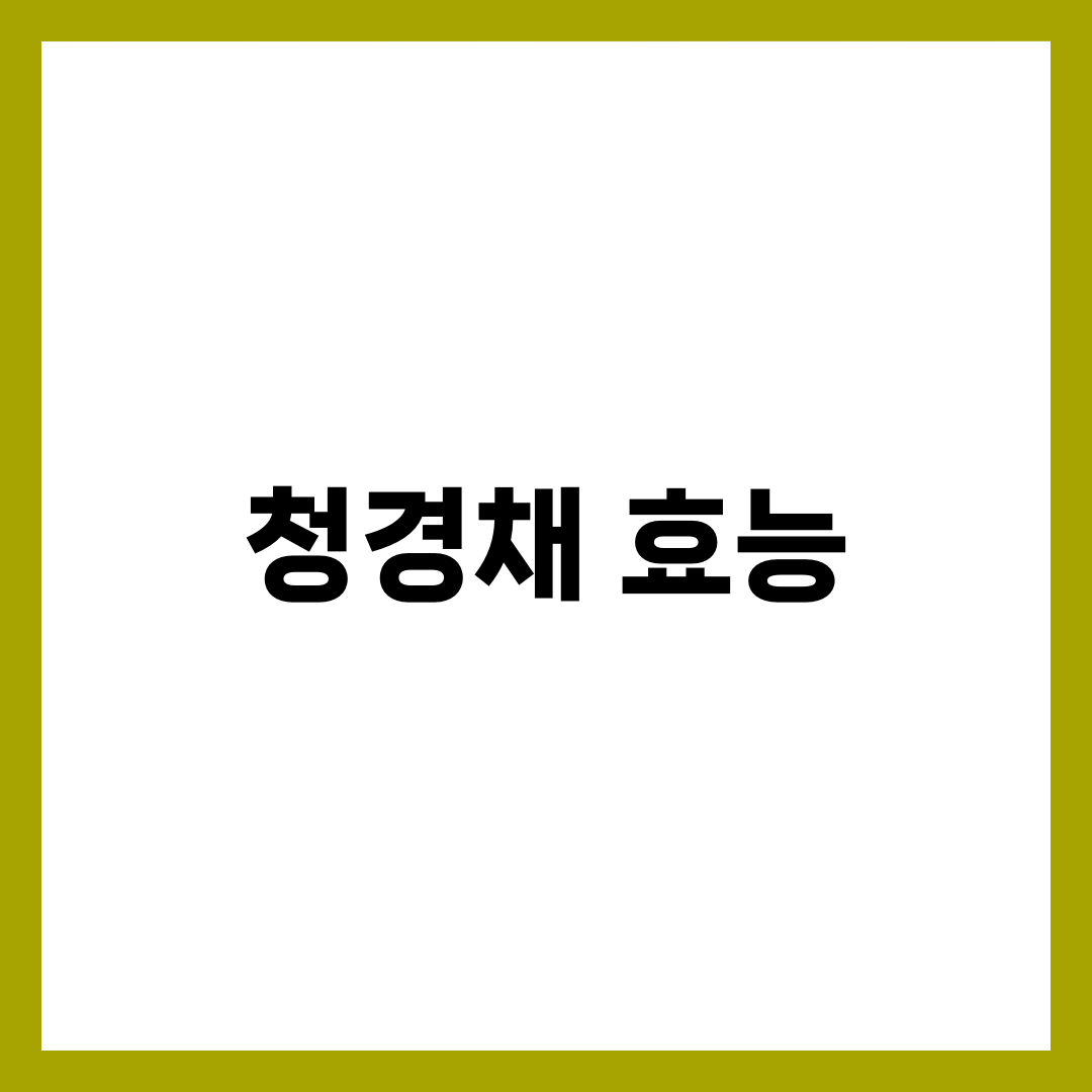청경채 효능 총정리! 몸에 좋은 이유 7가지 1