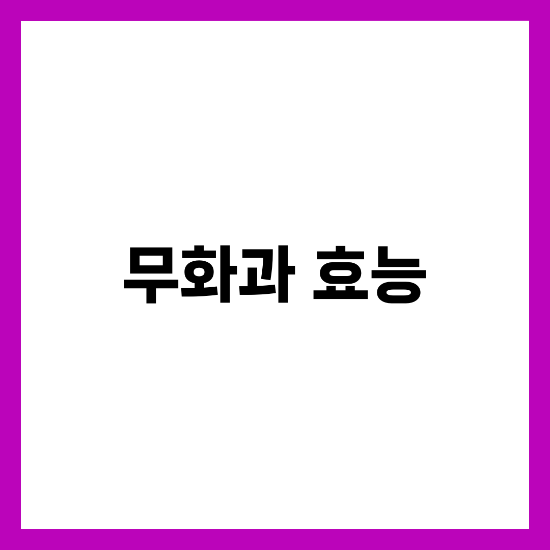 무화과 효능 총정리! 건강에 좋은 7가지 이유 1