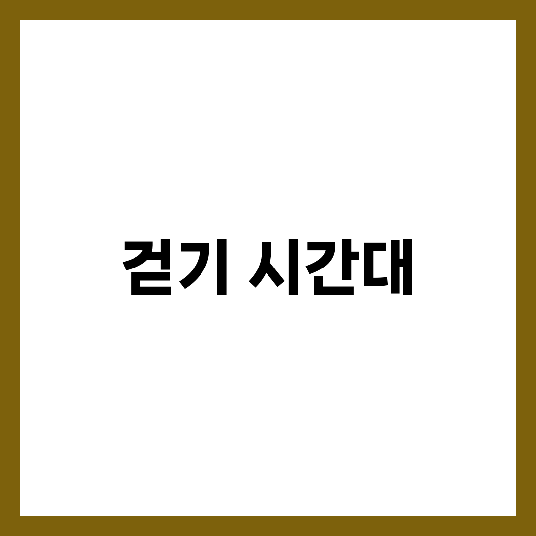 걷기만 해도 살 빠지는 시간대는 ‘이때’입니다 1