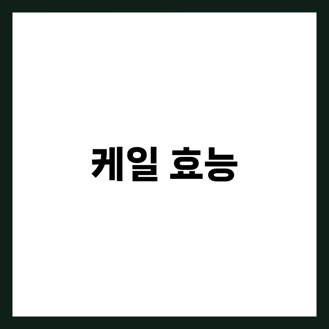케일 효능 6가지, 슈퍼푸드·항산화·칼슘 1