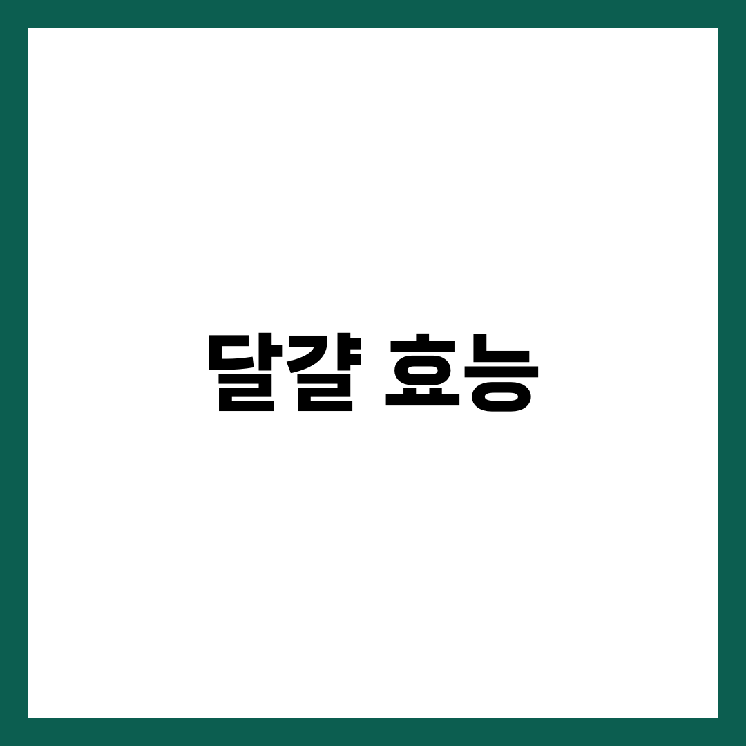 달걀 효능 총정리: 노화 방지에 탁월한 이유 5가지 2