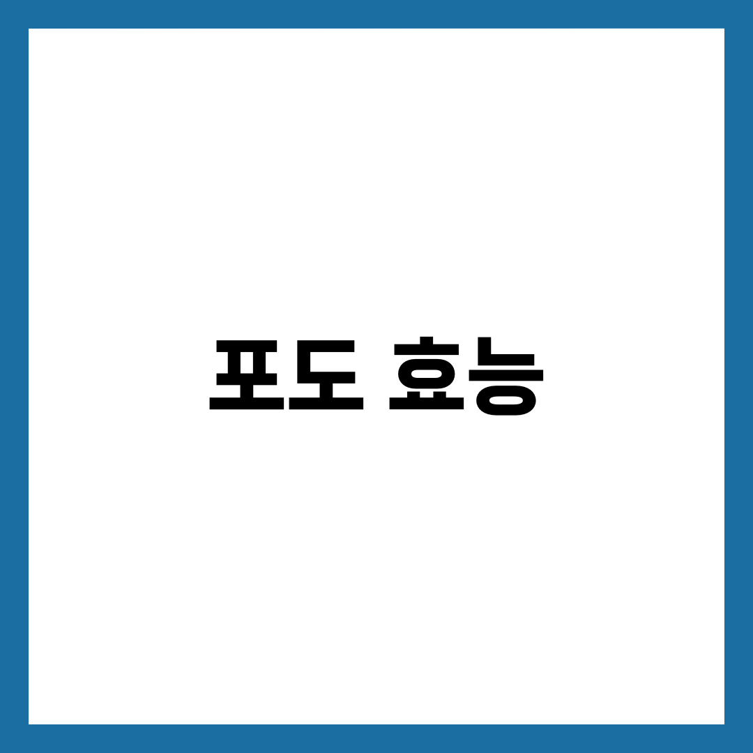 포도 효능 총정리: 노화 방지에 탁월한 이유 5가지🍇 2