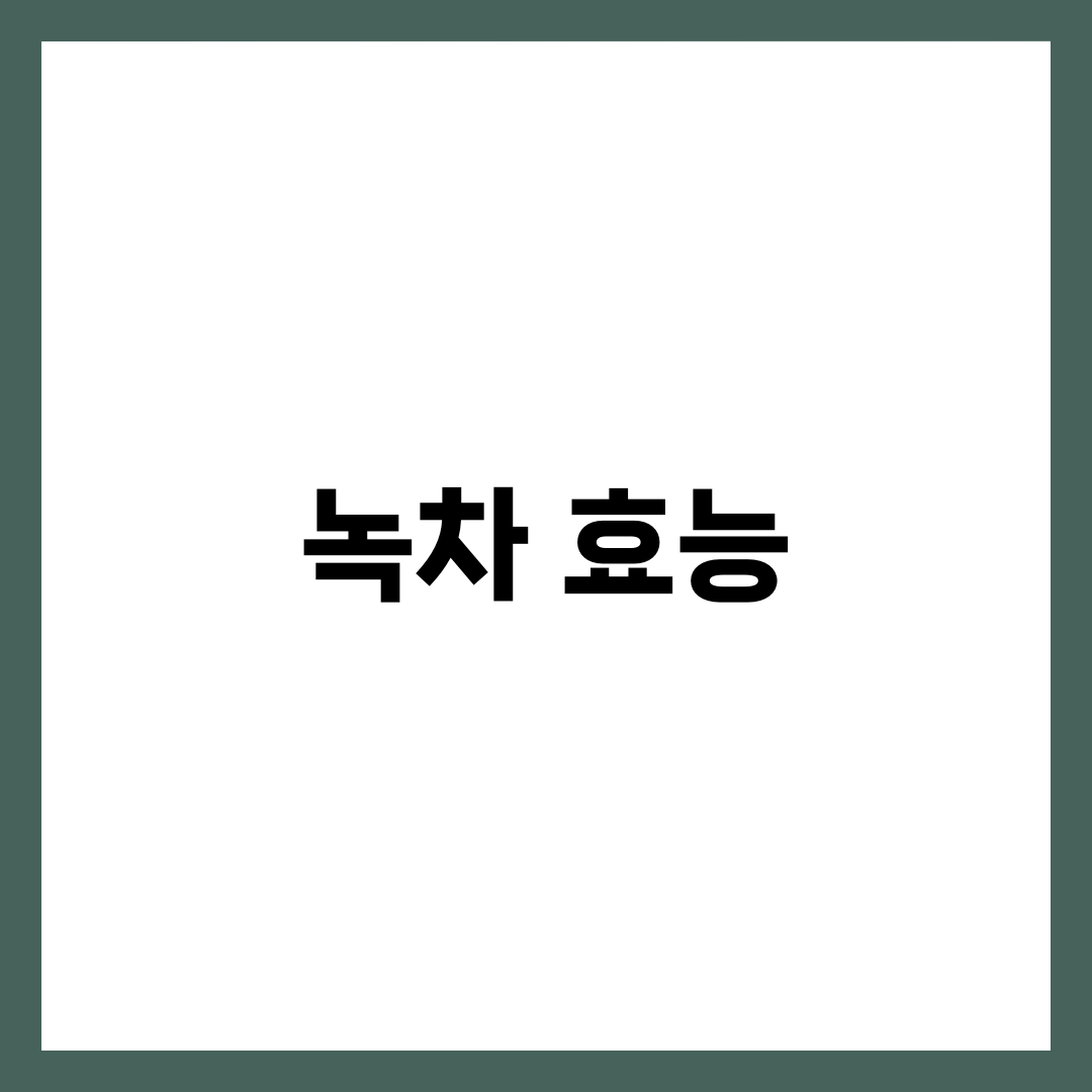 녹차 효능 총정리: 노화 방지에 탁월한 이유 5가지 1