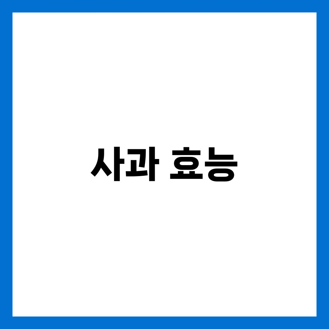 사과 효능 총정리: 노화 방지에 탁월한 이유 5가지 1
