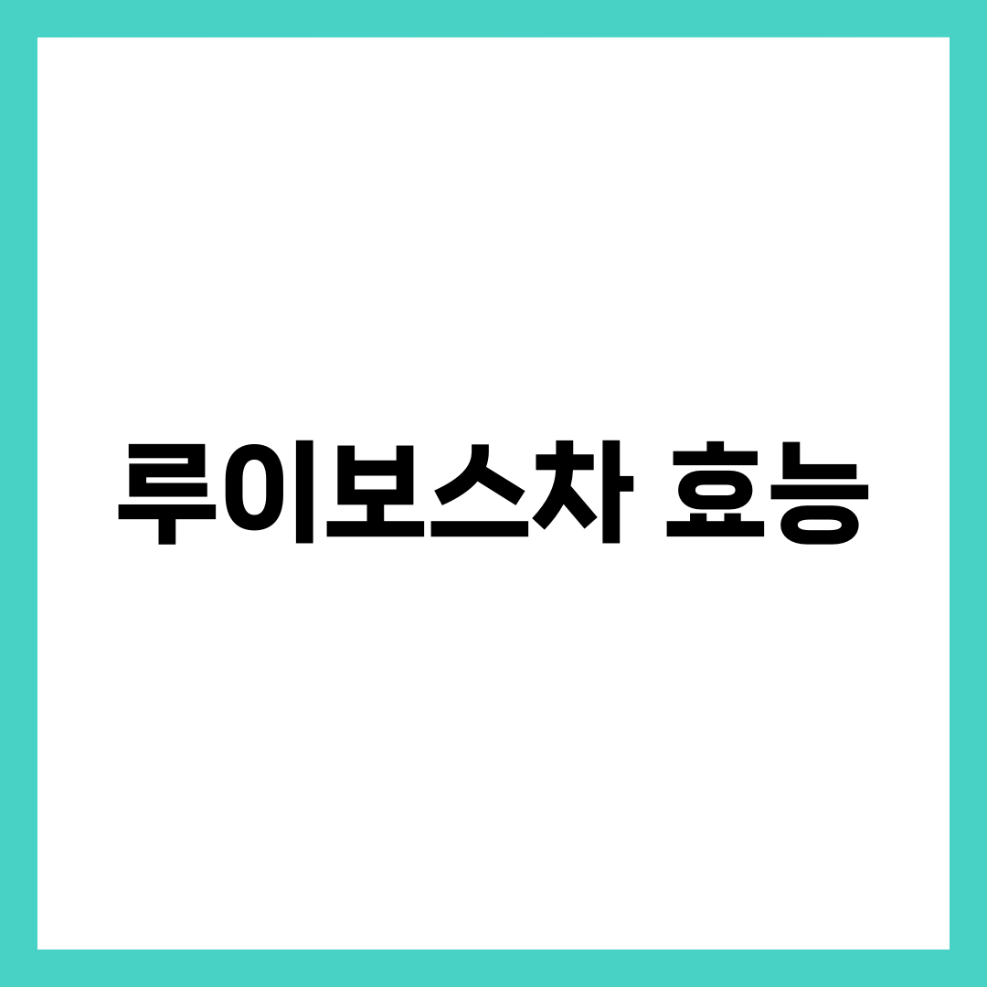 루이보스차 효능 총정리: 노화 방지에 탁월한 이유 5가지 1
