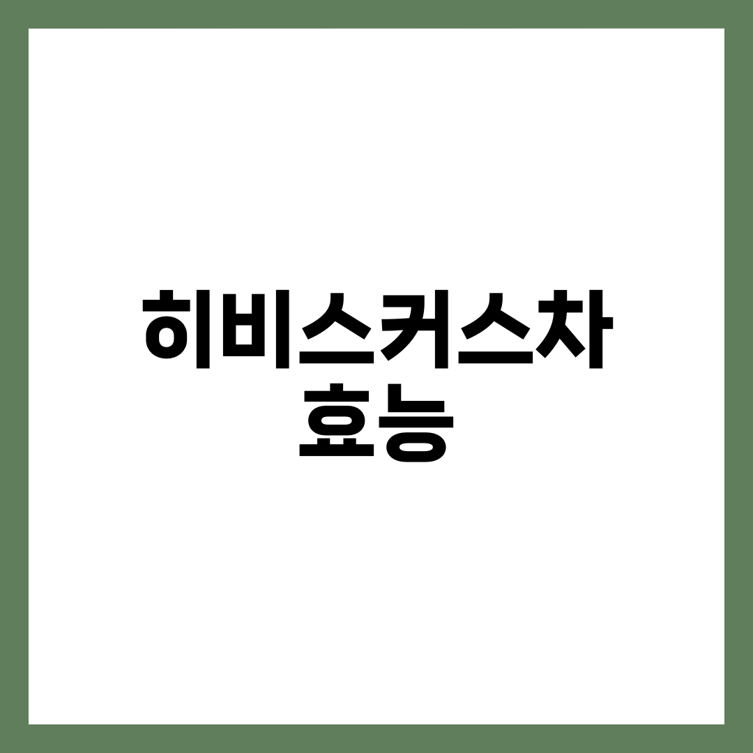 히비스커스차 효능 총정리: 노화 방지에 탁월한 이유 5가지 1