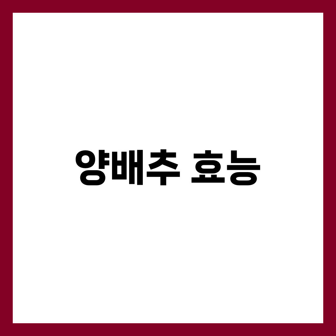 양배추 효능 8가지와 먹는 법, 위염·다이어트에 좋은 이유 1