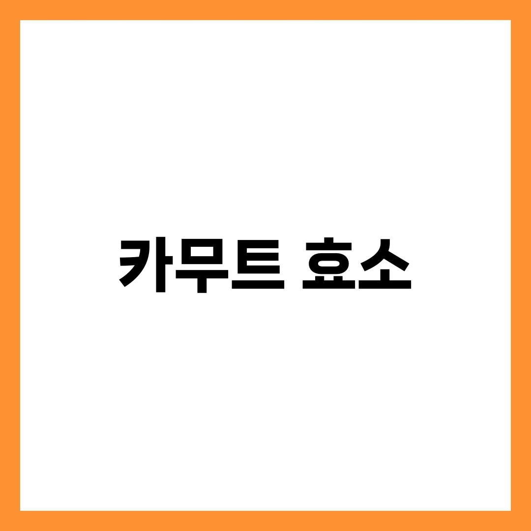 카무트 효소 가루 효능 6가지와 부작용, 하루 섭취량·복용법·카무트 곡물과 차이 총정리 1