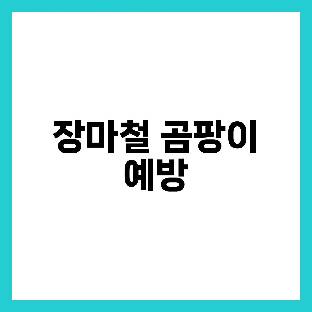 장마철 곰팡이 예방 9가지, 습기·결로 잡는 실전 습도 관리법 2