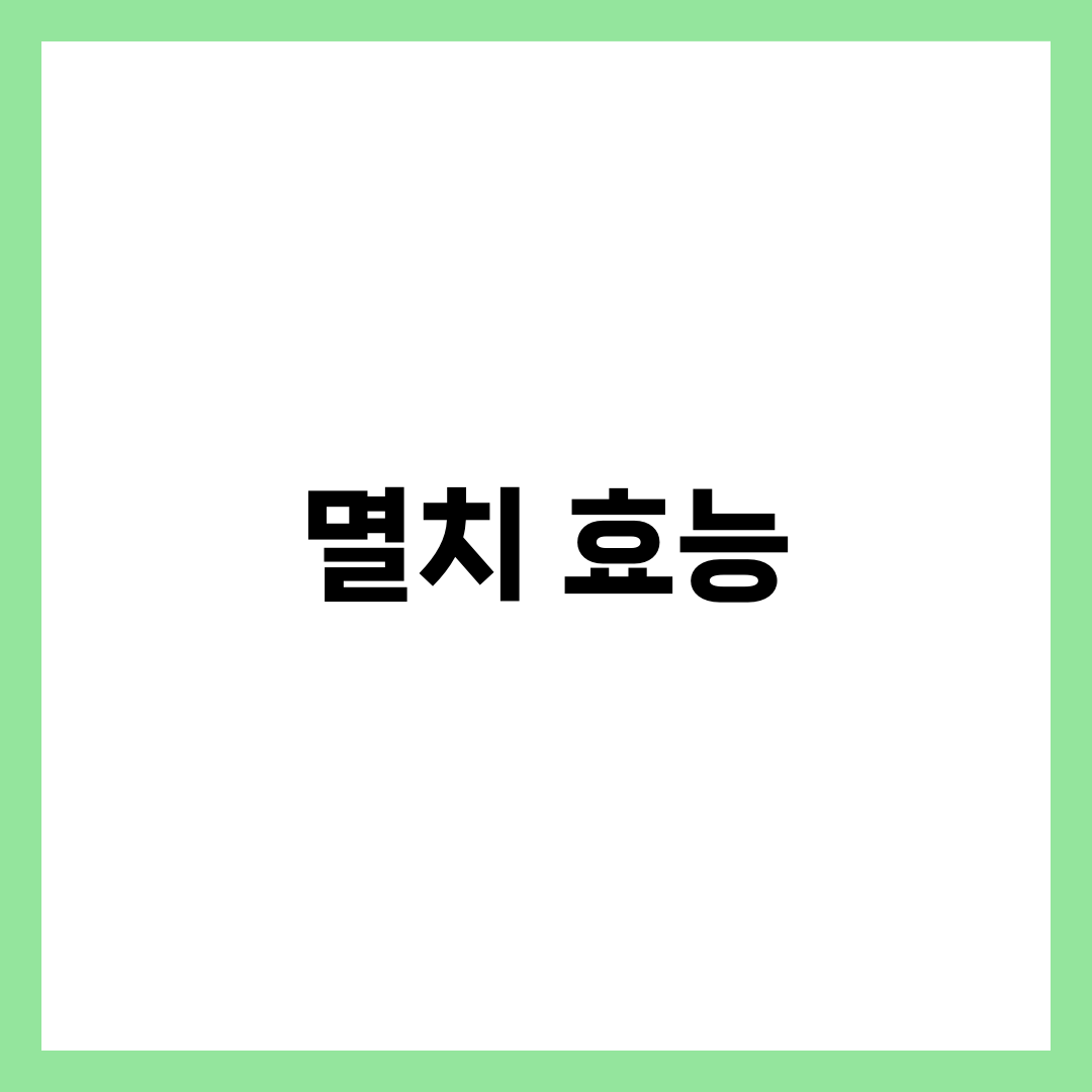멸치 효능 7가지와 하루 적정량, 칼슘·DHA·단백질 챙기는 먹는 법 1