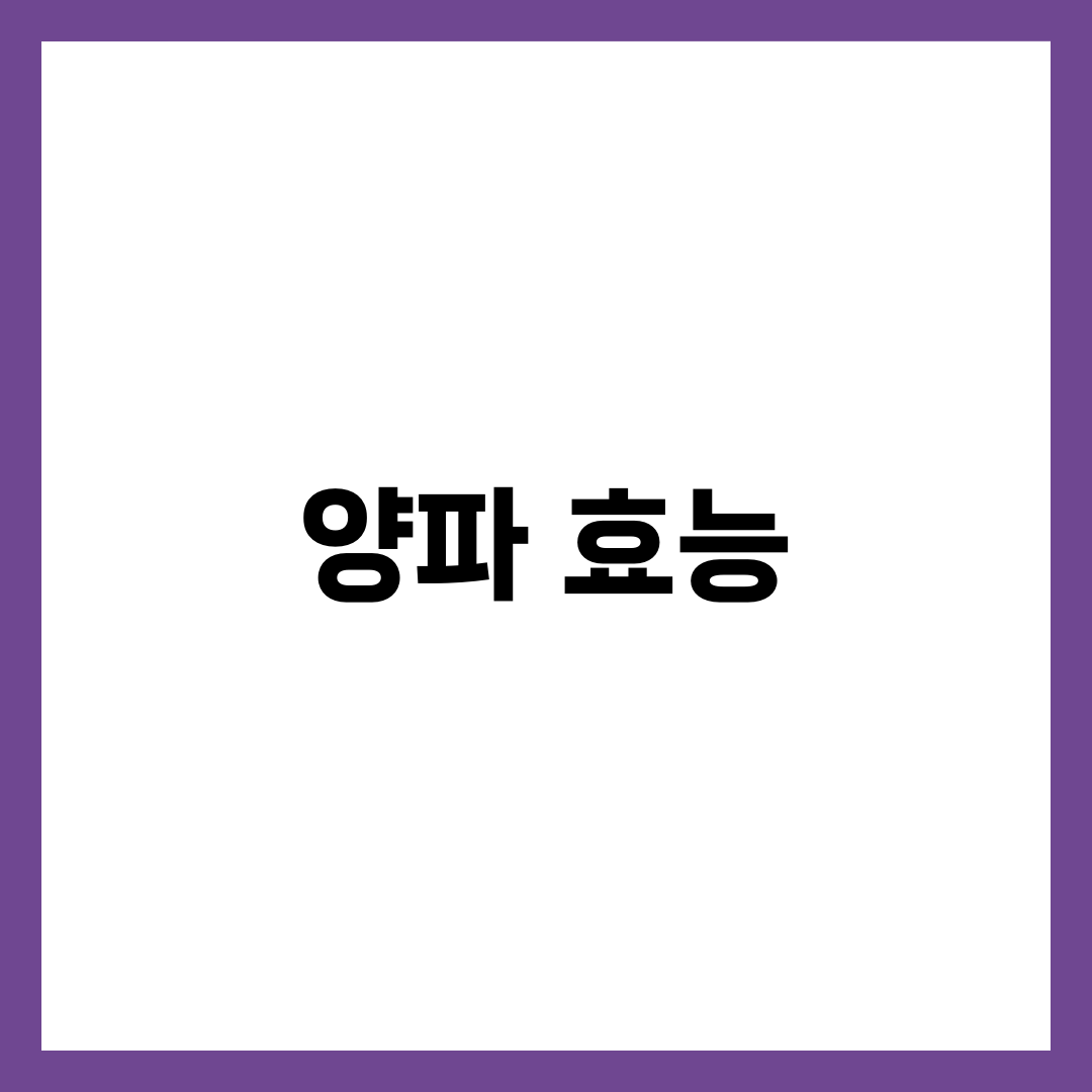 양파 효능 7가지와 하루 적정량, 케르세틴·알리신 활용법 가이드 7