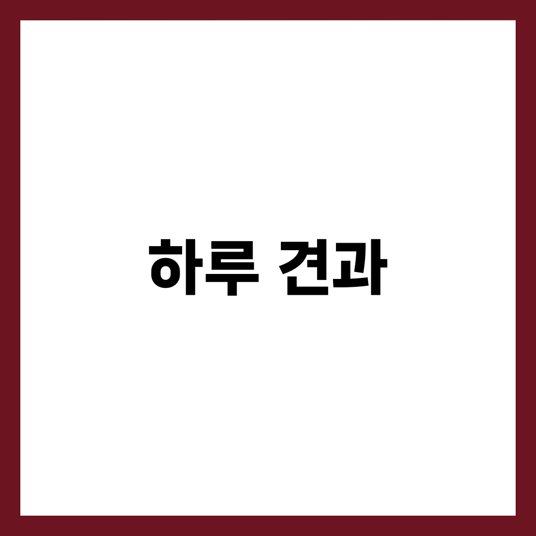 하루 견과 효능 7가지와 하루 섭취량, 종류별 영양·고르는 법 완벽 정리 1