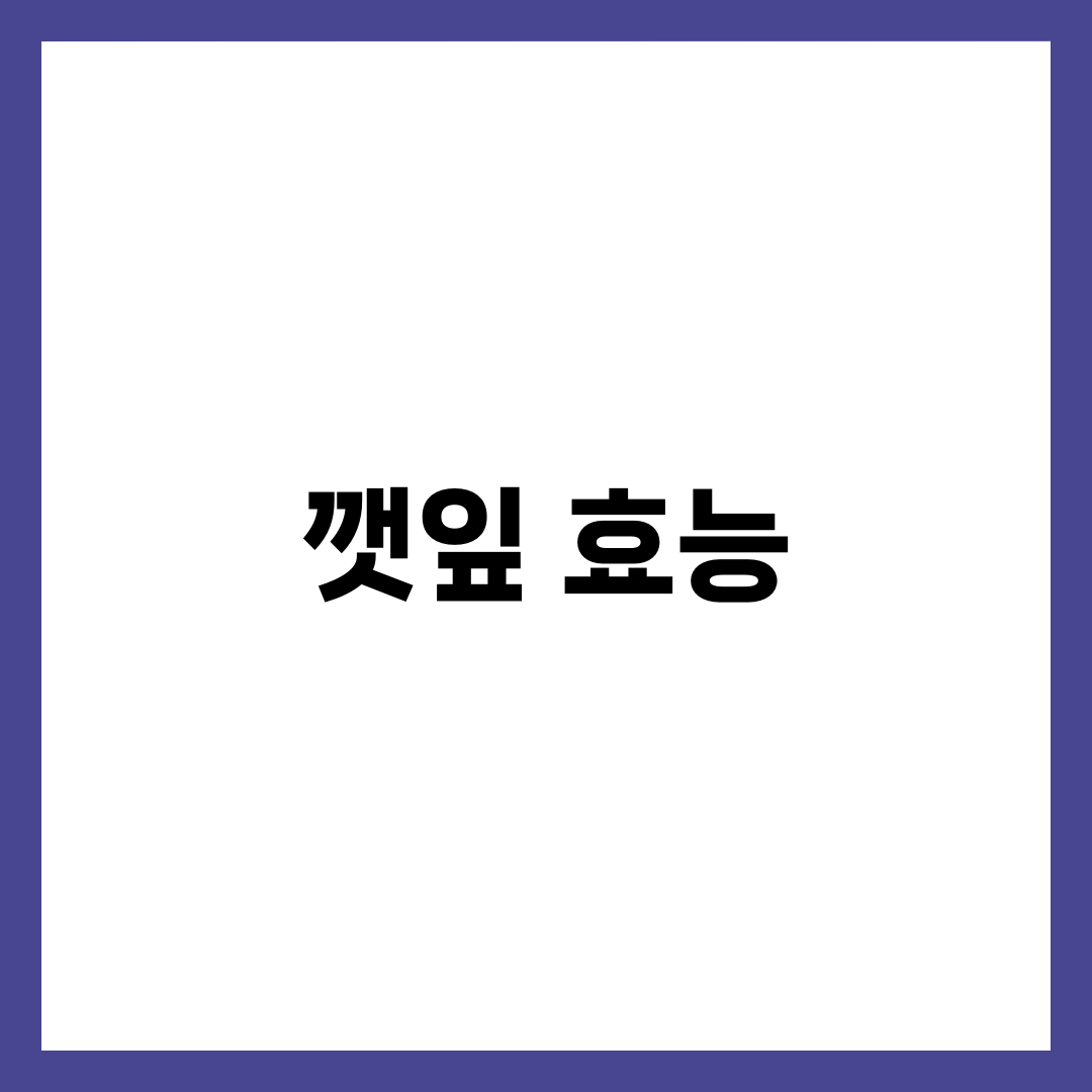 깻잎 효능 10가지와 하루 적정량, 항산화·항염·빈혈 완벽 가이드 1