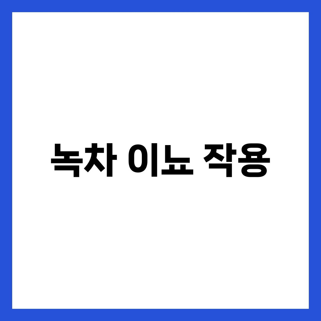 녹차 이뇨 작용, 카테킨과 수분 배출 관리 5가지 5