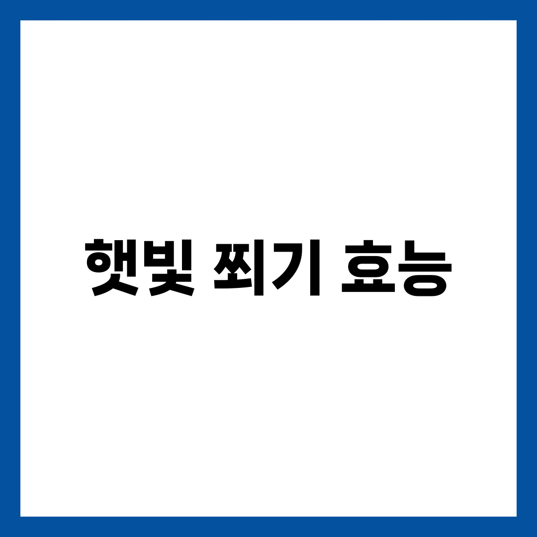 햇빛 쬐기 효능 6가지, 비타민D·수면·기분 1